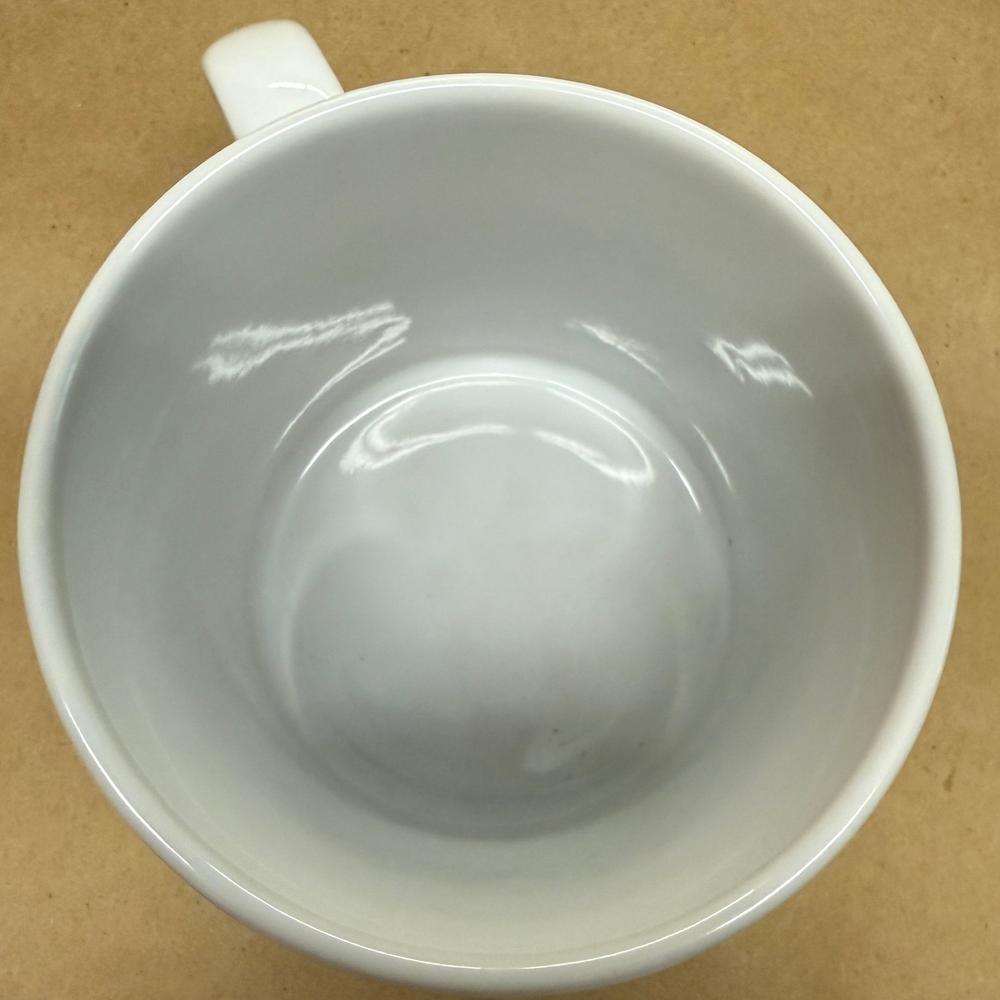 Starbucks City Mug Series Houston Mug NIB-1994